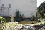 un aperçu de la mare il y a un an.jpg