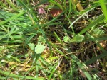 IMG_3822.JPG