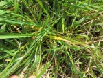 IMG_3829.JPG