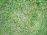 IMG_3832.JPG
