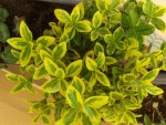 2014-03-11 13.35.jpg