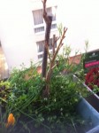 IMG_3934.jpeg