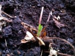 IMG_3995.jpeg