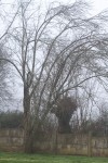 IMG_0463.jpg