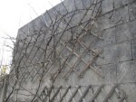 SDC14016.JPG