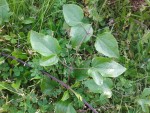 20140318_075720.jpg