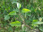 20140318_075729.jpg