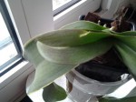 20140320_150144.jpg