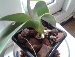 20140320_150114.jpg