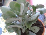2014-03-22_18.49.49.jpg
