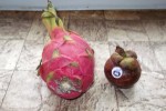 pitaya et mangoustan