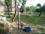 Potager début septembre 2013.jpg