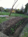 Coin potager mi-mars 2014 butte aux fraises.jpg
