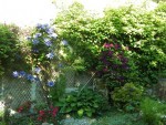 BILD3474.JPG