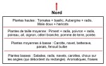 Carré.jpg