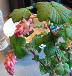 20140316_182723.jpg