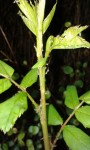 20140326095849.jpg