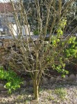 20140401_095651.jpg