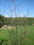 IMG_5180.JPG