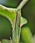 DSC_08481.jpg