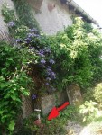 DSCF2012.JPG