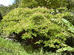 DSCN5726.JPG