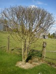 DSC00390.jpg