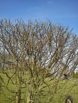 DSC00391.jpg