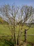 DSC00398.jpg