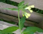 WP_20140412_004.jpg