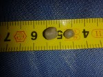 20140416_103837.jpg