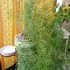 p101007560.jpg