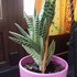 p101007457.jpg