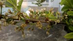 WP_20140419_008 (640x360).jpg