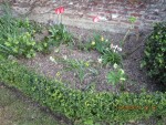 1er printemps mas.CH.Ag.jpg