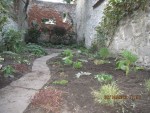2013-10-02 suite et fin des plantations_x.jpg