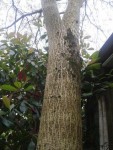 20140421_120243.jpg
