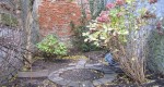 2012-11-29 Fond x.jpg