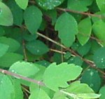 CAM00024.jpg