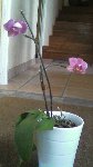 Photo0013.jpg