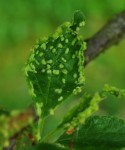 DSC_5842.JPG