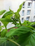 IMG_4435.jpeg