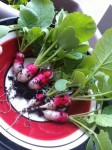 IMG_4501.jpeg