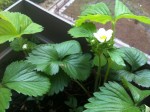 IMG_4591.jpeg