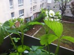 IMG_4753.jpeg