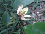 IMG_0103.JPG