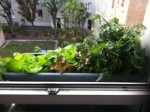 IMG_61660.jpeg