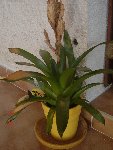 DSC02481.jpg