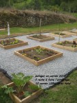 8 mai 2014 potager (1).JPG