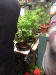photo-2.JPG